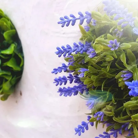 Appartement Belem! Charming 2 Bedroom W Terrace, Wifi & Free Street Parking *